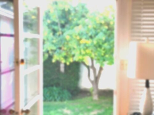 The door. It was ajar